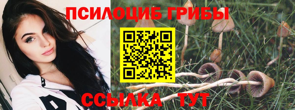 Галлюциногенные грибы Cubensis Верхняя Пышма