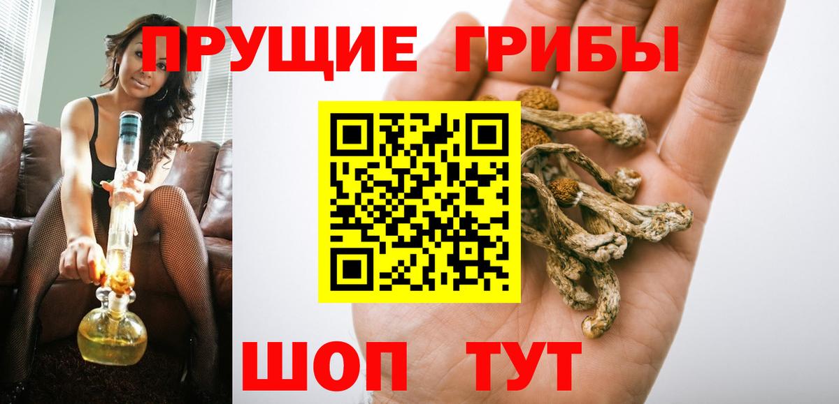 Верхняя Пышма  Галлюциногенные грибы GOLDEN TEACHER  Вход с VPN 